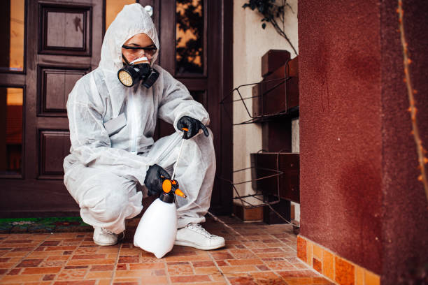 Reliable Bed Bug Control contractor in Southfield, MI by Nex Pest Control
